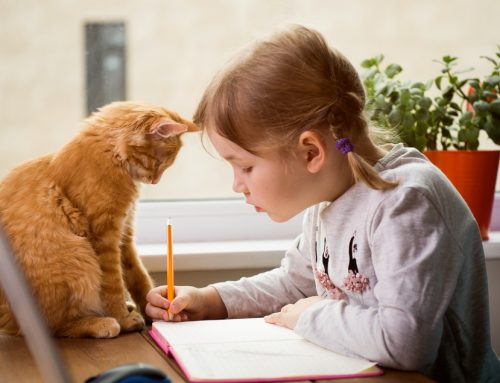 Back-to-School Pet Prep FAQs
